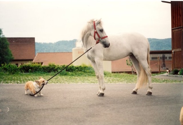 Grrrr...you will come with me